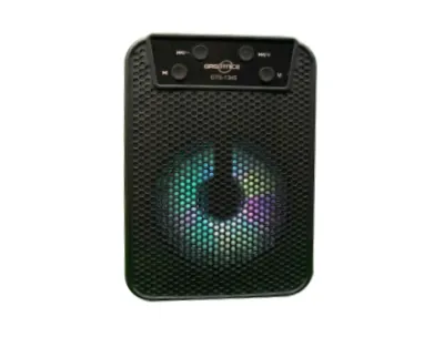 Mini Speaker with Multiple Playback Options