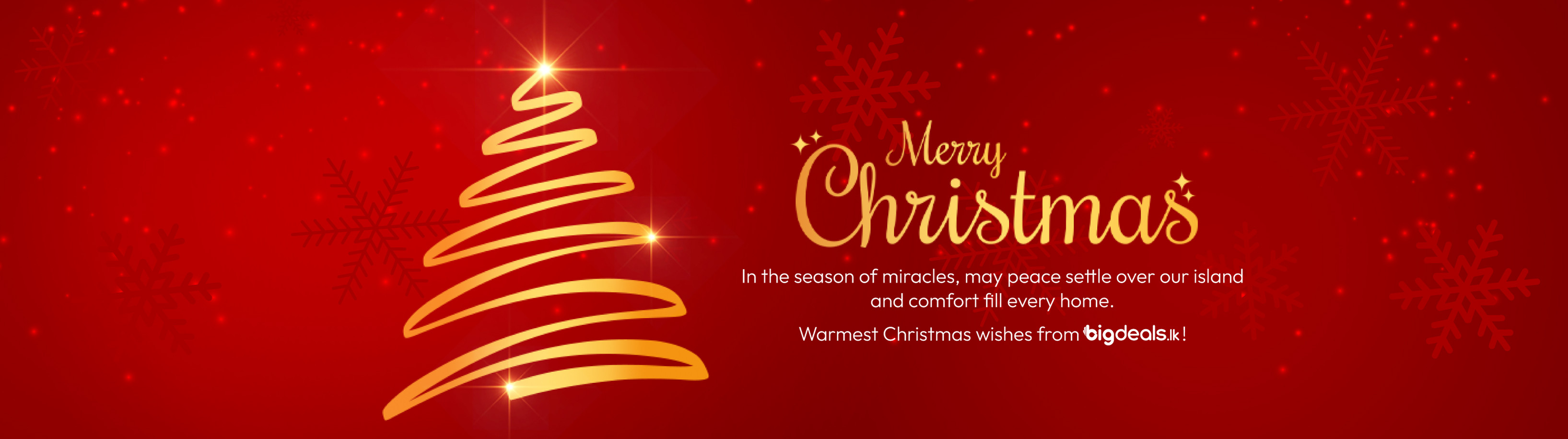 Merry Christmas - 2025